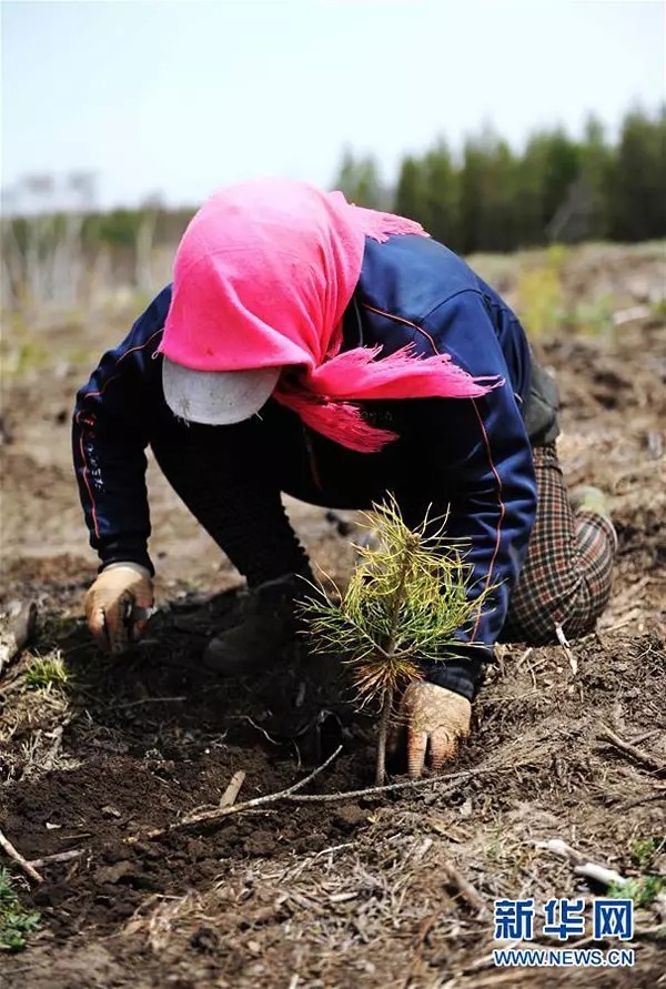 1504518014991013.jpg 4.webp.jpg